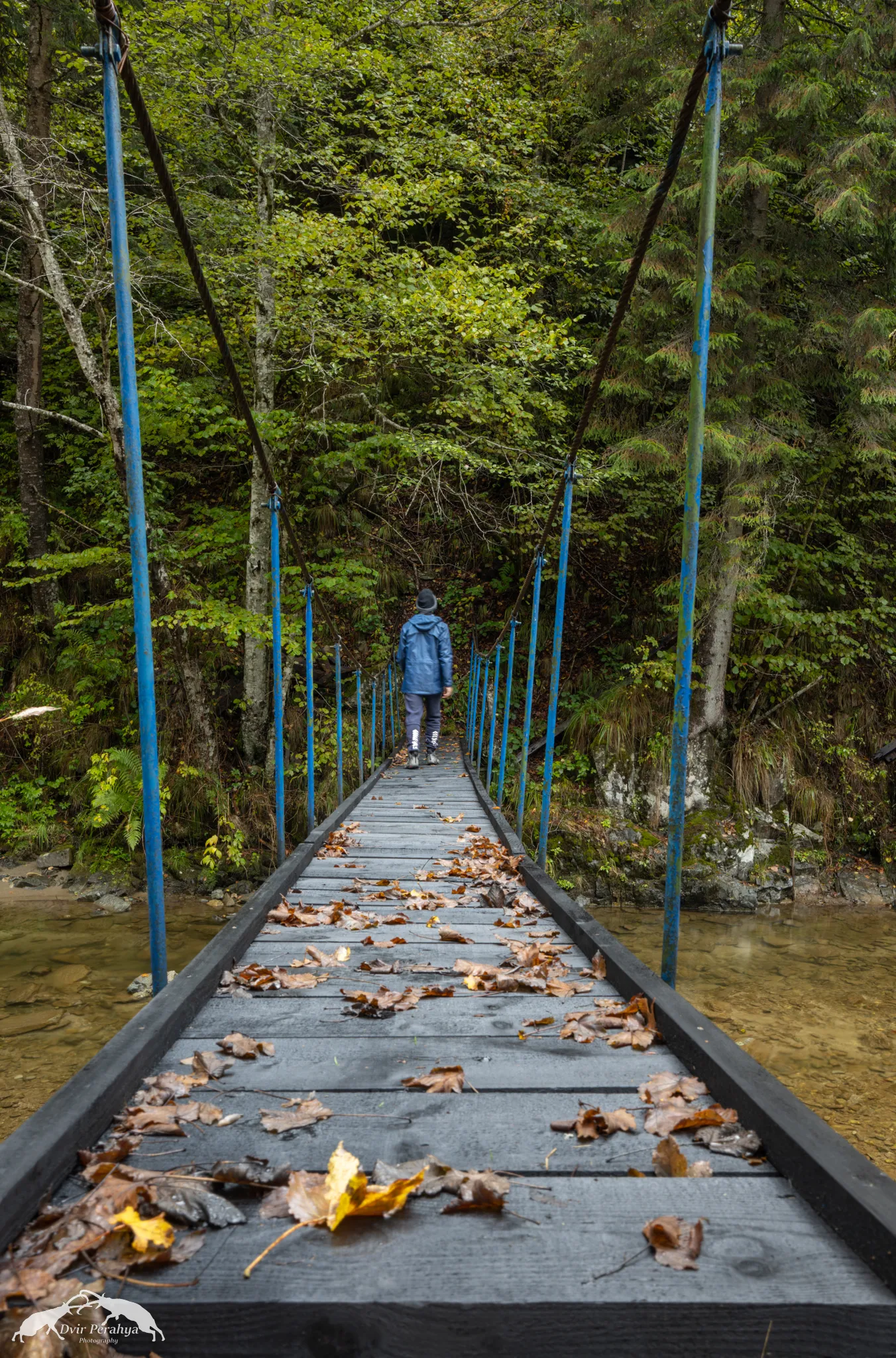 Tel Dor beach at sunset